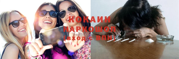 сатива Пролетарск